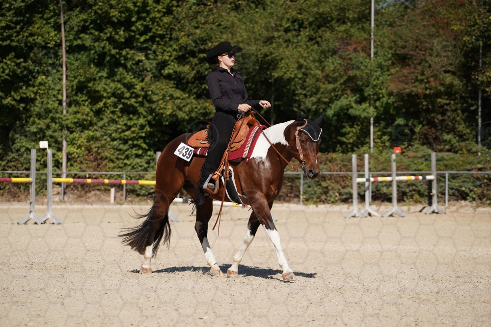 s_A_908117.JPG